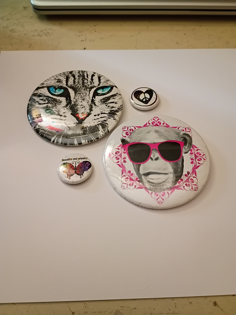 Novelty Pinback Button Set — Cat & Monkey Designs with Accent Buttons